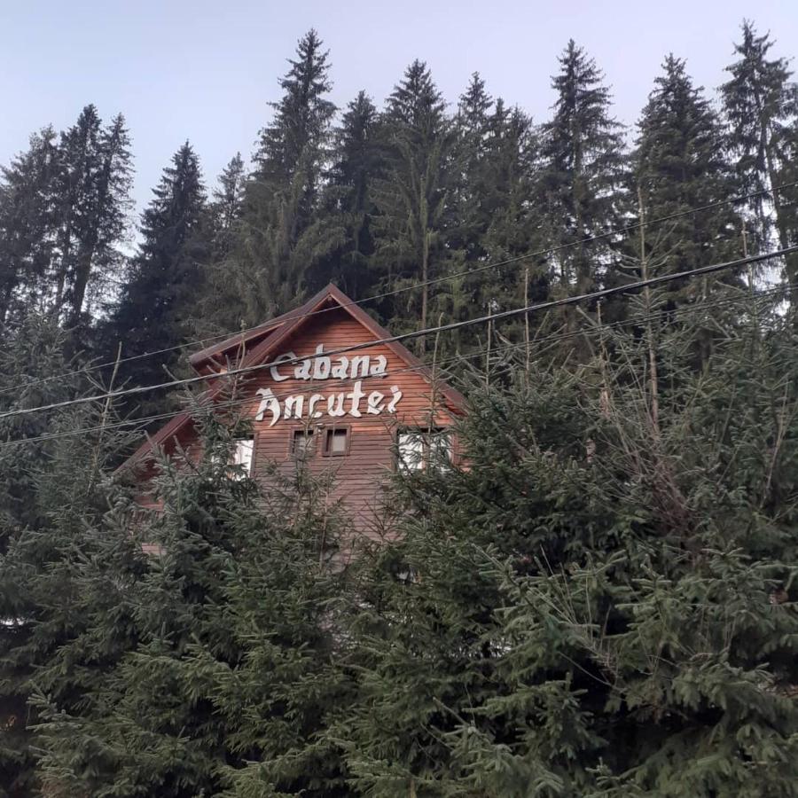 Cabana Ancutei Rucăr Exterior foto